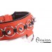 Avalon - WORSHIP - Collar med spisse nagler, ringer og D-ring - Rød og sort Avalon - WORSHIP - Collar med spisse nagler, ringer og D-ring - Rød og sort