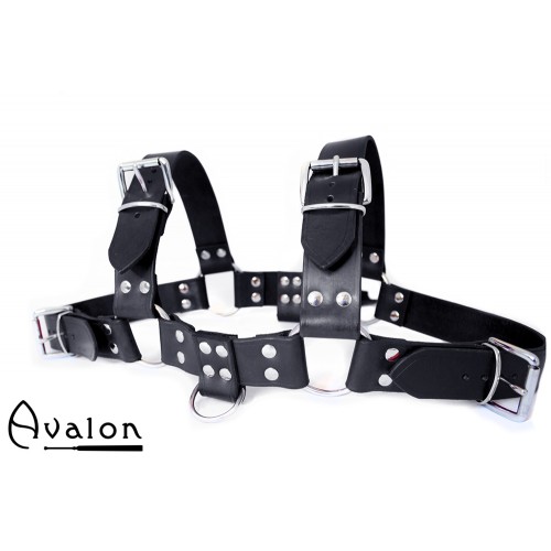 Avalon - BLAZON - Harness Svart Avalon - BLAZON - Harness Svart