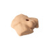 Silexd - Apollo Torso med utbyttbar Dildo Silexd - Apollo Torso med utbyttbar Dildo