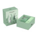 Womanizer Liberty 2 - Mintgrønn Womanizer Liberty 2 - Mintgrønn