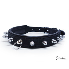 Avalon - Tough - Collar med nagler