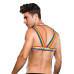 Envy - Pride Harness - S/M