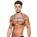 Envy - Pride Harness - S/M
