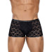 L4CE C4M - Trunk - Blondebokser L4CE C4M - Trunk - Blondebokser