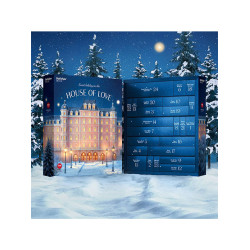 Satisfyer Deluxe Adventskalender 